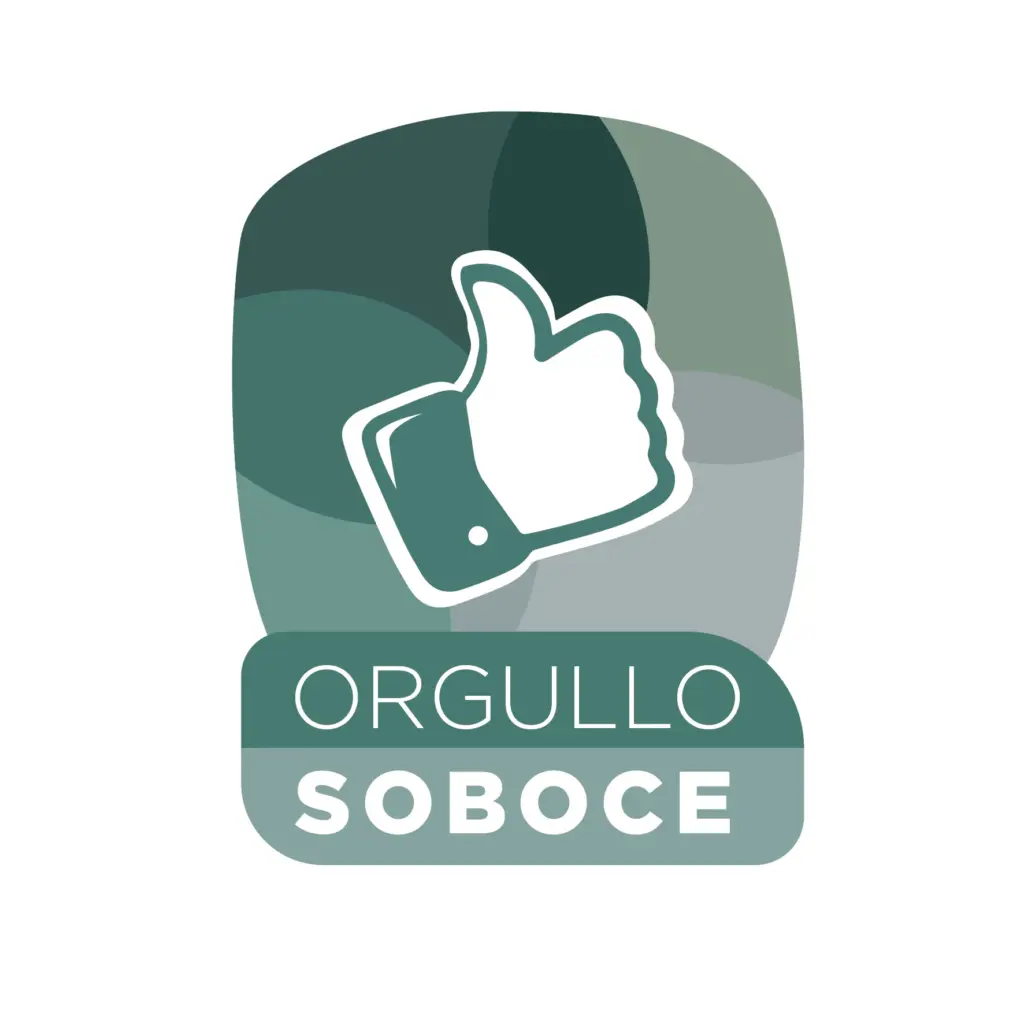 LOGO ORGULLO_logo
